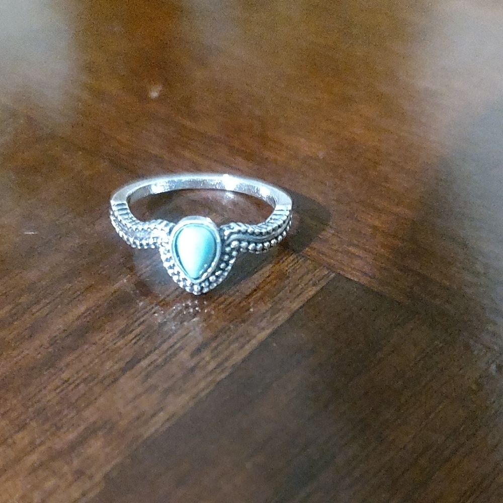 Elegant Silver and Turquoise Ring